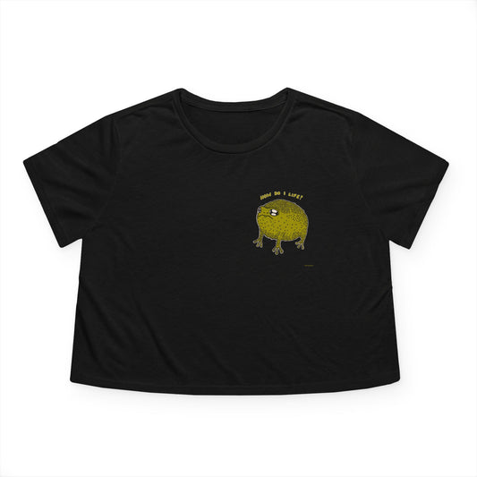 Funny Frog Graphic Crop Tee - Women's Heavy Faded Shirt with 'How Do I Life?' Design